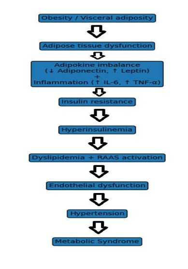 Fig. 5